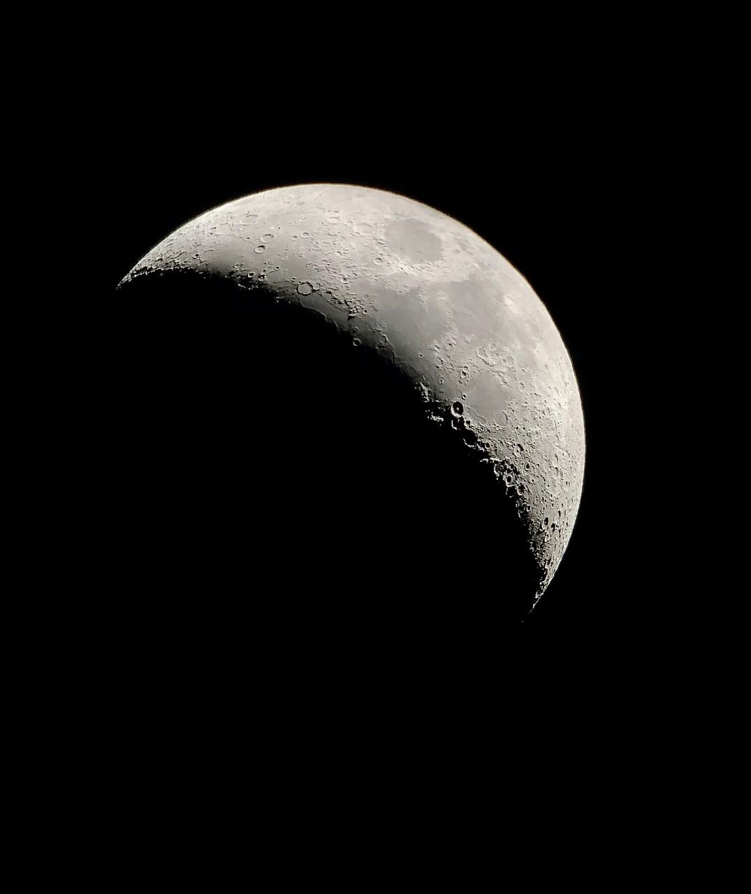 A Stargazing Journey @ Pfeiffer Wines